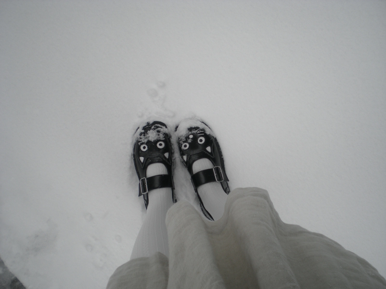 Nikon COOLPIX S200 ♱ snow
