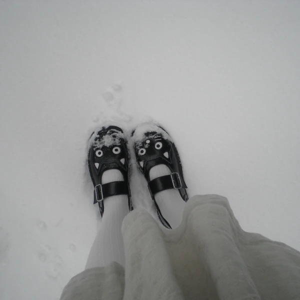 Nikon COOLPIX S200 ♱ snow