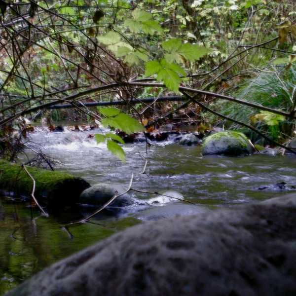 Nikon COOLPIX S200 ♱ creek