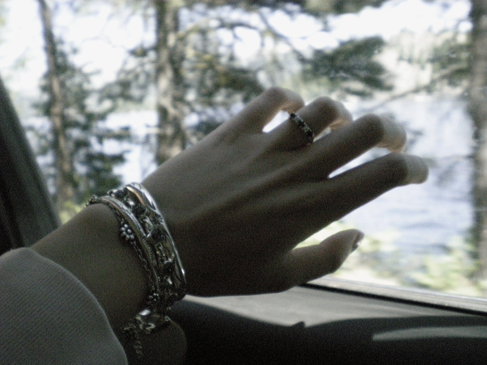 Nikon COOLPIX S200 ♱ i lived in trees
